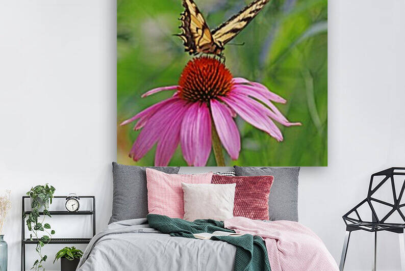 Tiger Swallowtail On Purple Coneflower by Deb Oppermann