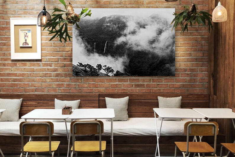 Monsoon Splendour in Western Ghats India by Samyak Kaninde