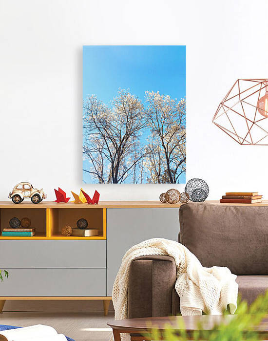 Treetops by Amna Hashmi