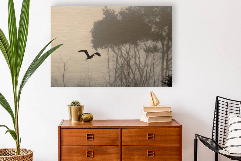 Great Blue Heron on a Foggy Morning by Joe Riederer