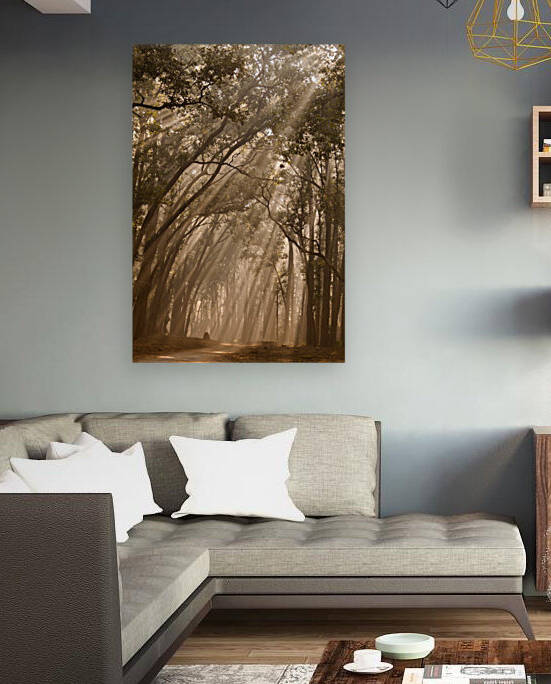 Misty Winter Mornings in forest by Samyak Kaninde