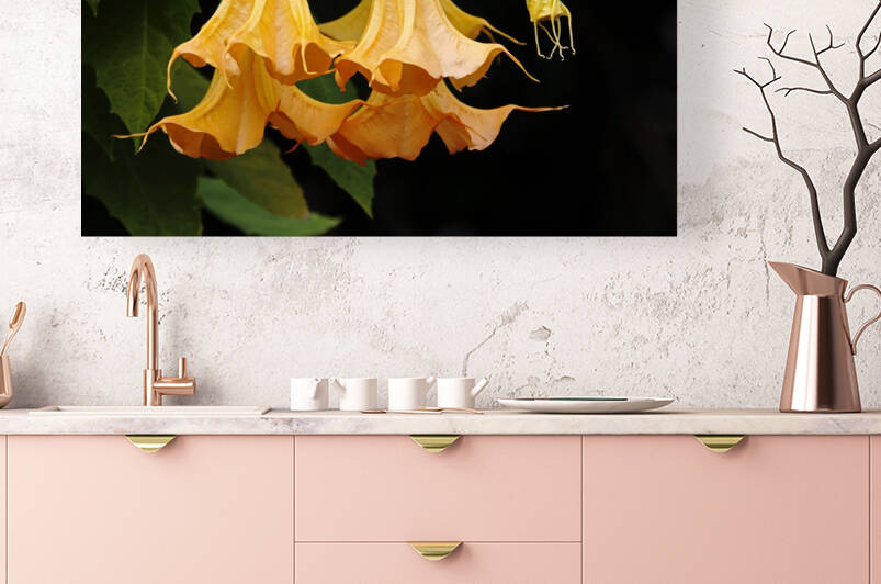 Trumpet Buds And Blooms by Deb Oppermann