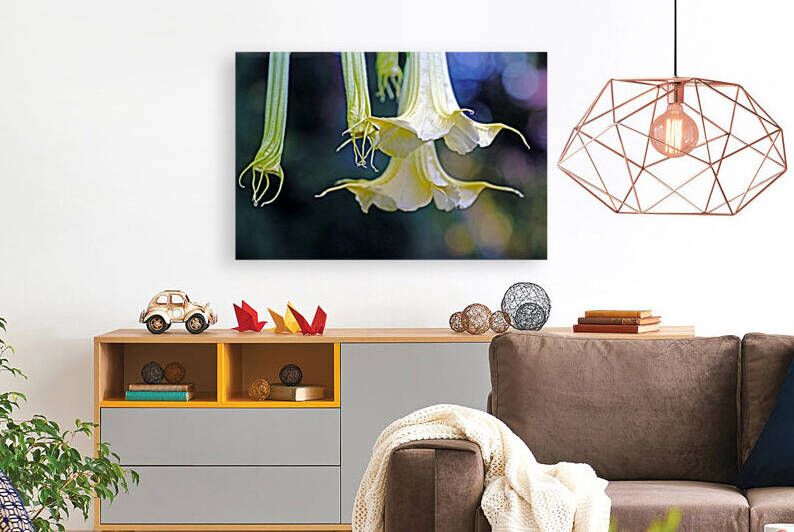 Trumpets Before And After by Deb Oppermann