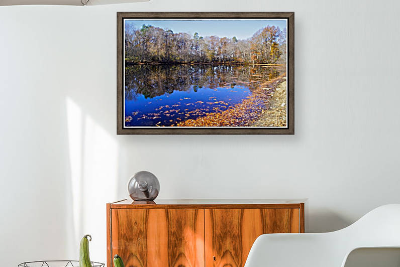 November Pond by Sue Bonior