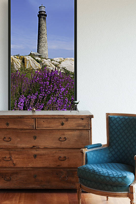 Thatcher Island Light  by Sue Bonior