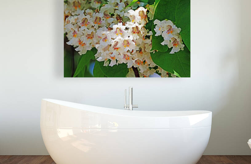 Catalpa Blossoms by Deb Oppermann