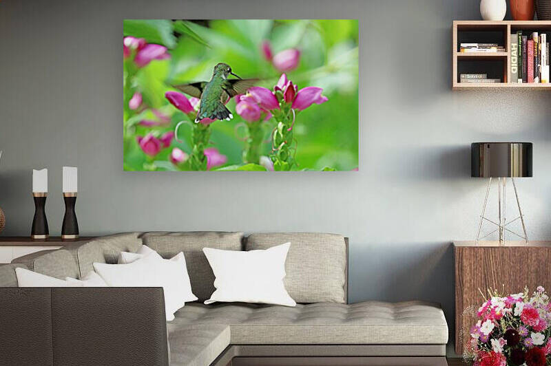 Pink Turtlehead And The Hummingbird by Deb Oppermann