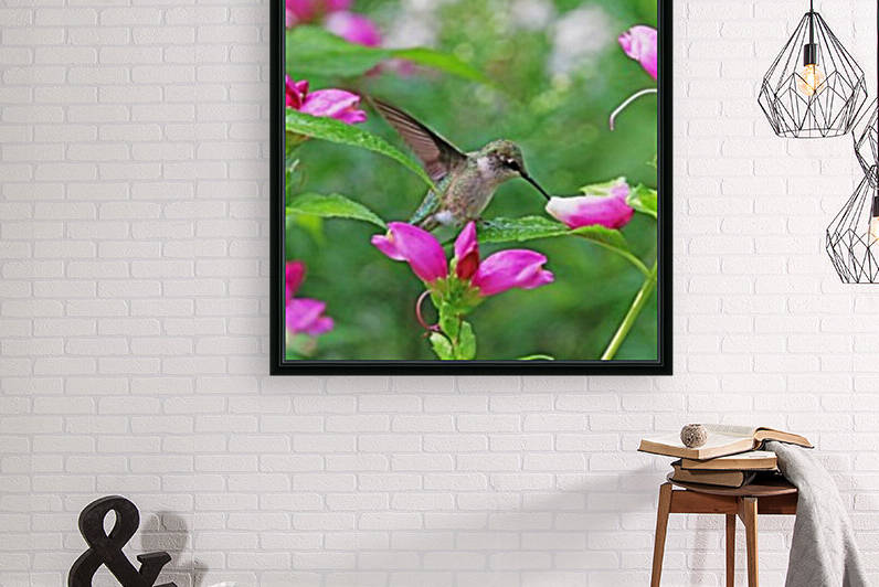 Hummingbird Landing On Dewy Leaf by Deb Oppermann