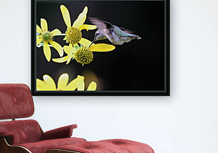 Hummingbird On Yellow Flowers In Fall by Deb Oppermann