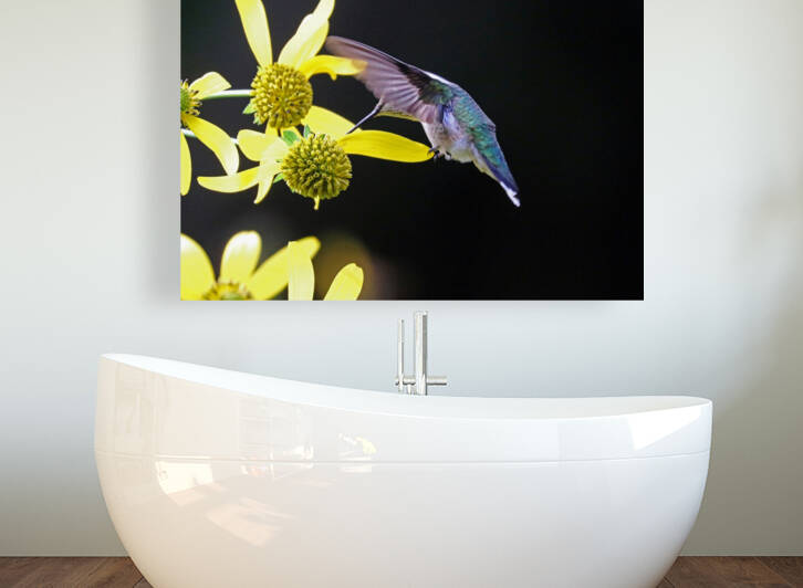 Ruby Throated Hummingbird On Yellow Flowers by Deb Oppermann