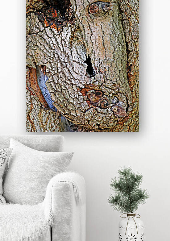 One Eyed Mulberry by Deb Oppermann