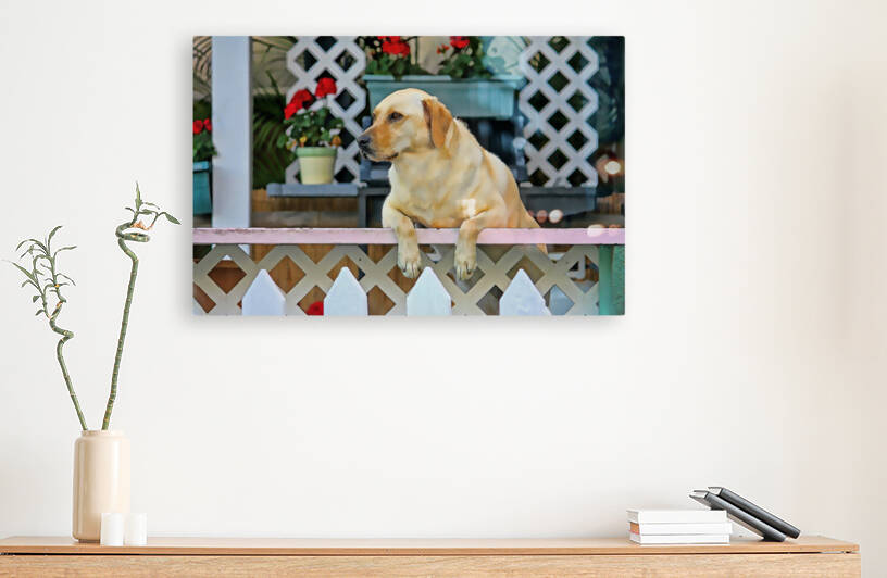 People Watching by HH Photography of Florida