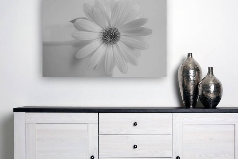 Daisy I Black and White by Joan Han