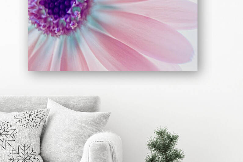 Daisy Pink I by Joan Han