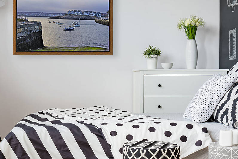 Safe Harbor by Sue Bonior