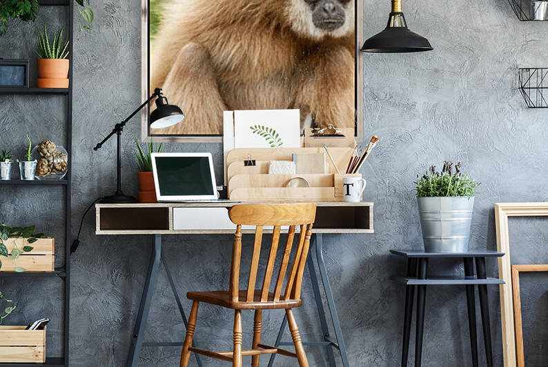 Northern white cheeked gibbon by Marcel Derweduwen