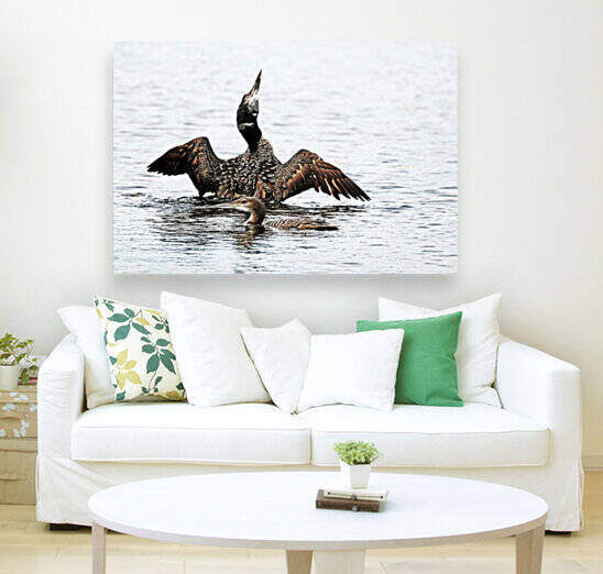 Loon On The Moon by Deb Oppermann