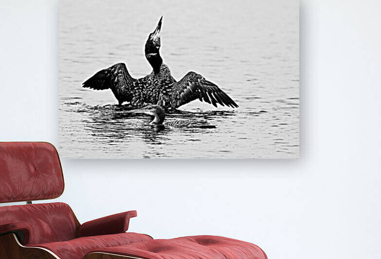 Loon On The Moon Black And White by Deb Oppermann