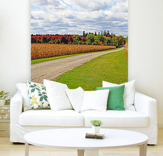 The Farmers Lane by Deb Oppermann