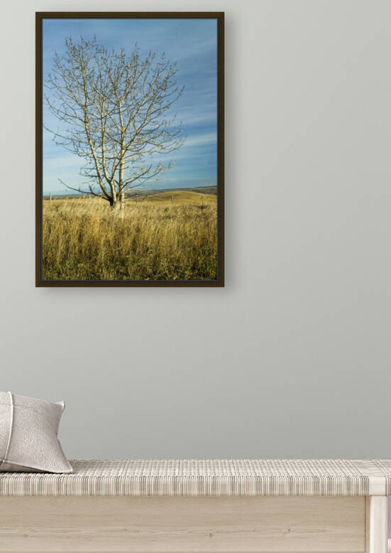 Tree on the Prairie by Kristian Gunderson