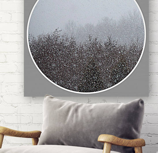 Snowing  Moment I by Joan Han