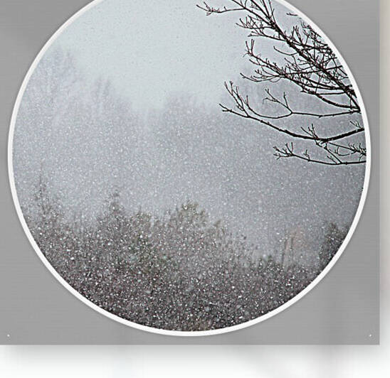 Snowing Moment by Joan Han