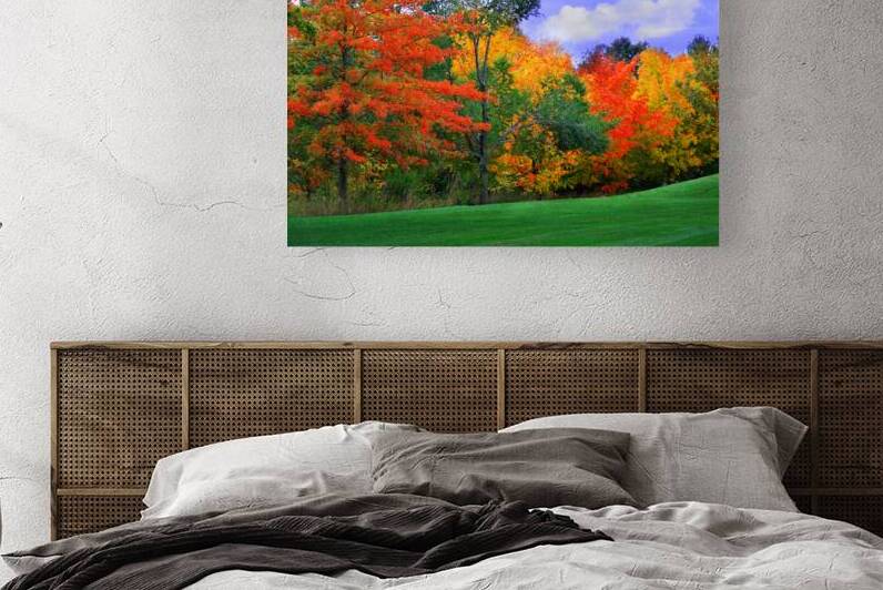 Autumn Woods by Joan Han