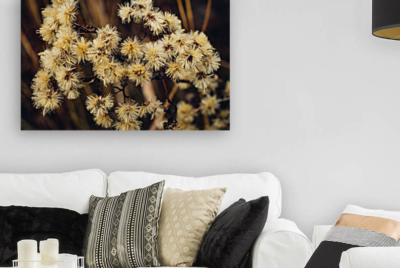 Ice House Trail 2 by Dave Therrien