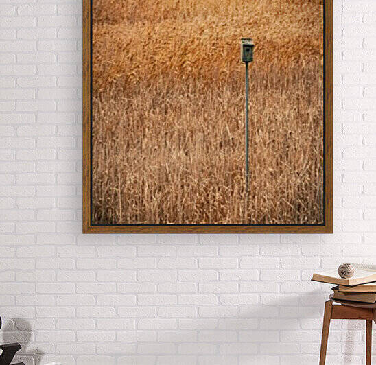 Ice House Trail 5 by Dave Therrien