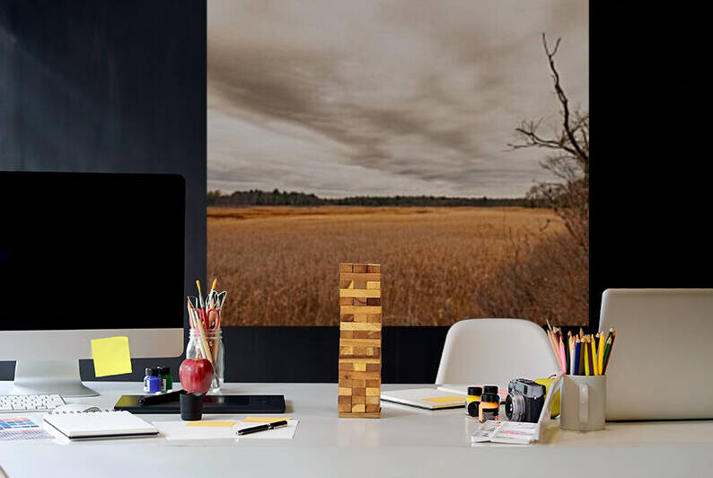 Ice House Trail 7 by Dave Therrien