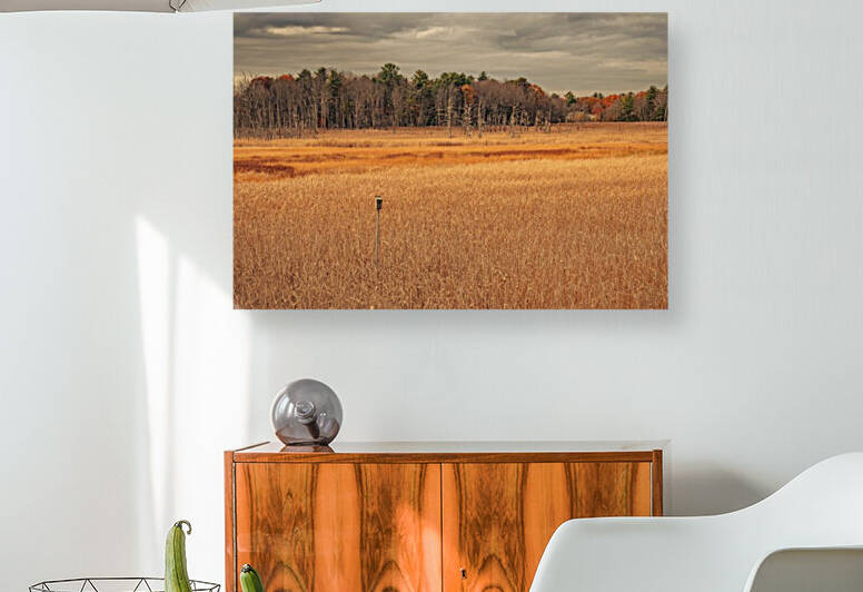 Ice House Trail 9 by Dave Therrien