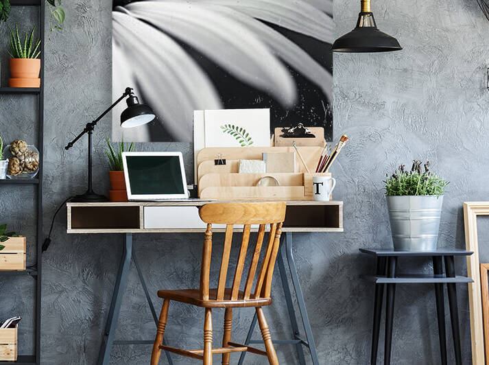 Coneflower close-up by Assaf Frank