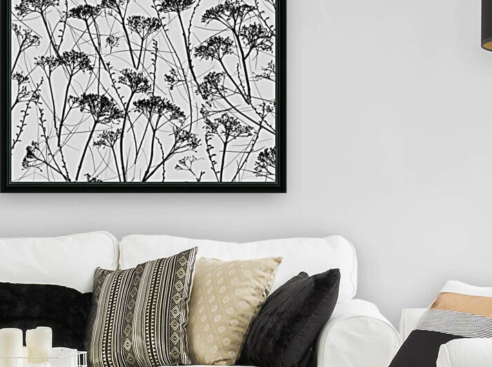 Silhouette of dried plants by Assaf Frank