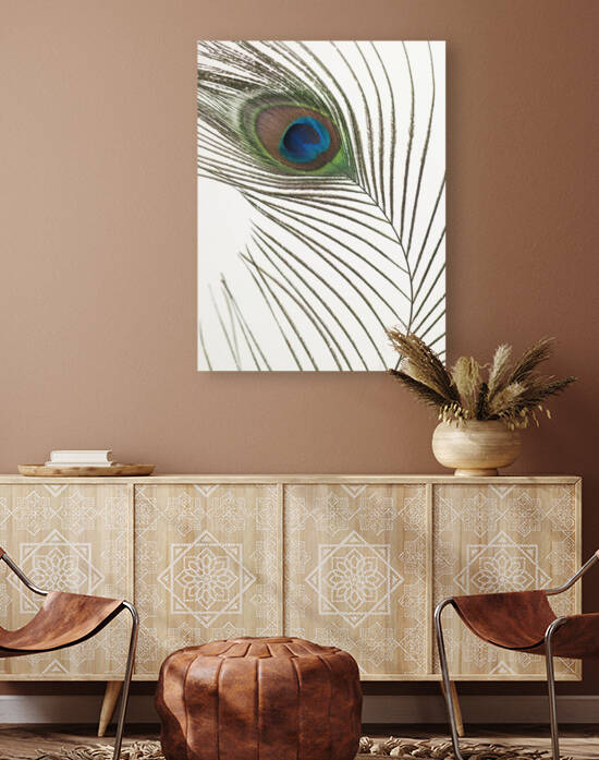 Peacock feather by Assaf Frank