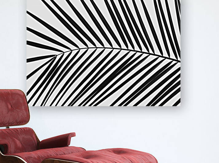 Palm tree leaf on white background by Assaf Frank