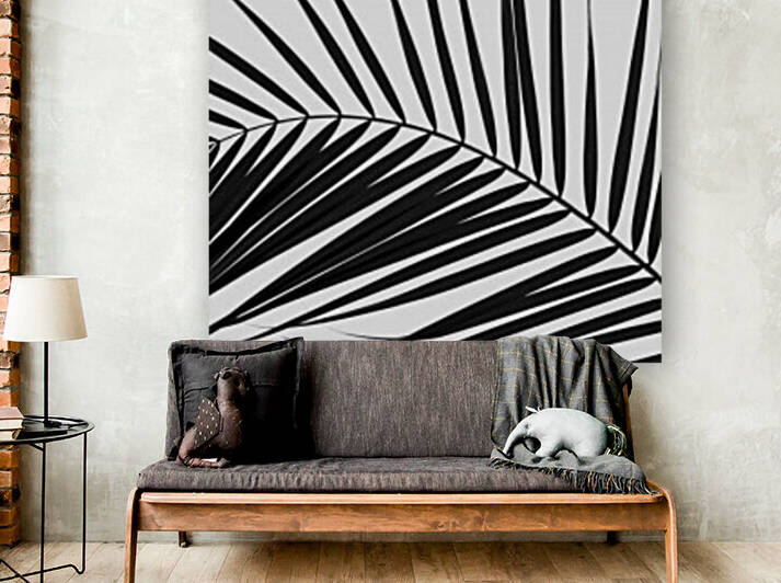 Palm tree leaf on white background by Assaf Frank