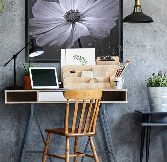 Cosmos flower by Assaf Frank