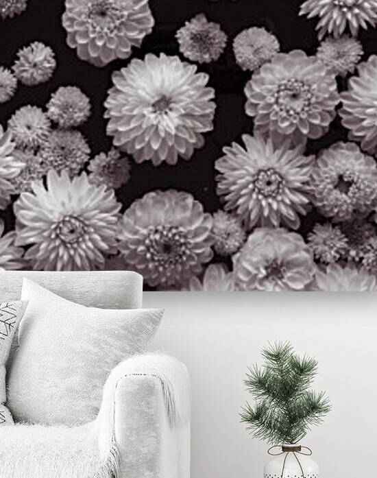 Dahlia Flowers, Full Frame by Assaf Frank