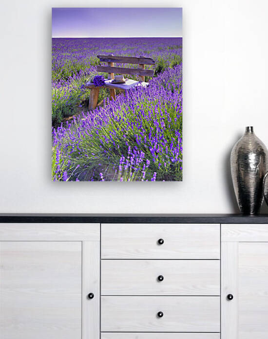 Bench in Lavender field by Assaf Frank