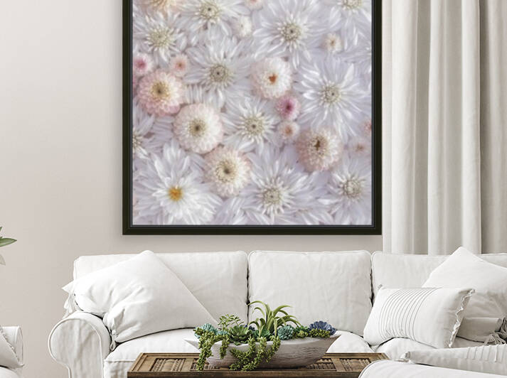 Full frame of Dahlia flowers by Assaf Frank