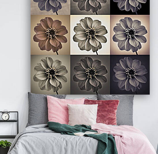 Collage of Dahlias flowers by Assaf Frank