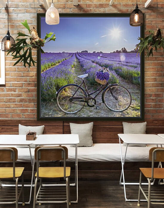 Bicycle with flowers in a Lavender field by Assaf Frank