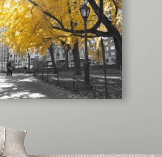 Pathway through Central park, New York City by Assaf Frank