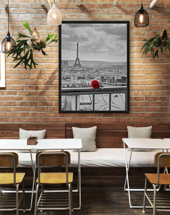 Rose on balcony railing with Eiffel Tower in background, Paris, France by Assaf Frank