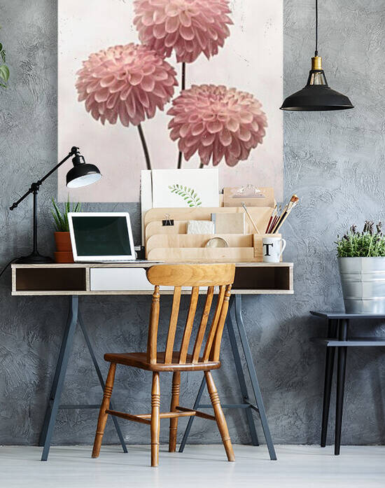 Three Dahlia flowers on white background by Assaf Frank
