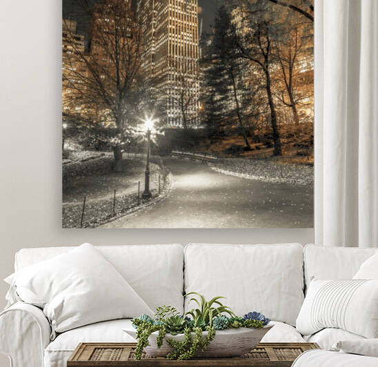 Evening view of Central Park in New York City by Assaf Frank