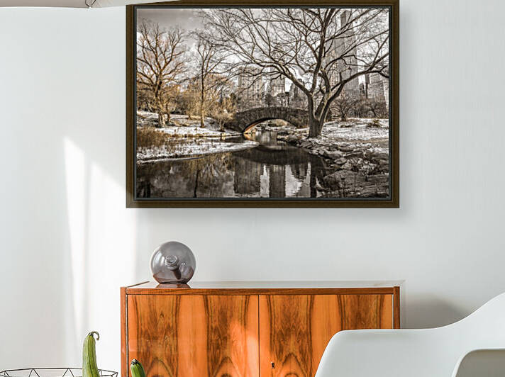 Central park in New York by Assaf Frank