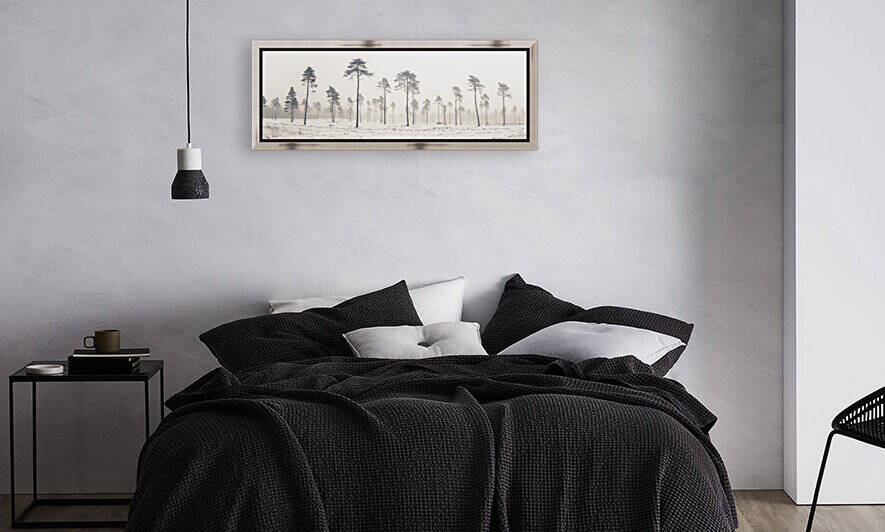 Snowy forest in winter by Assaf Frank