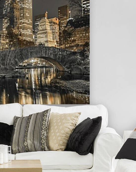 Evening view of Central Park in New York City by Assaf Frank