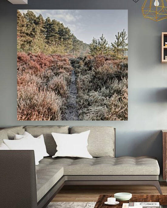 Autumn forest by Assaf Frank